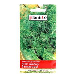 Koper ogrodowy późny SZMARAGD do suszenia i kwaszenia - nasiona PlantiCo 5g