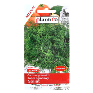 Koper ogrodowy GOLIAT - do sałatek zup kiszenia - PlantiCo nasiona 5g