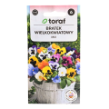 bratek-wielkokwiatowy-mix-toraf-1.png