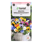 Bratek ogrodowy wielkokwiatowy MIX kolorów - nasiona bratków Toraf 0,2g