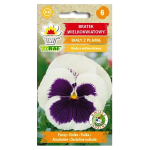 Bratek ogrodowy wielkokwiatowy BIAŁY Z PLAMĄ - nasiona Toraf 0,2g