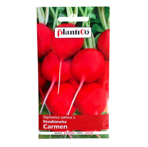 Rzodkiewka CARMEN - duża czerwona odporna na pękanie - nasiona PlantiCo 10g
