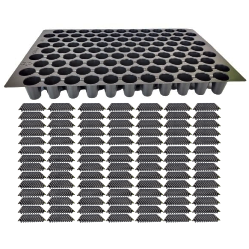 wd-3:103-x100.png