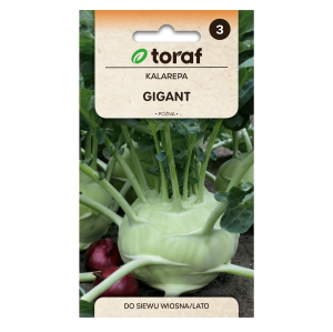 Kalarepa GIGANT - późna bardzo duża smaczna - nasiona Toraf 2g