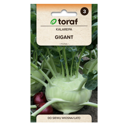 kalarepa-gigant-toraf.png