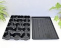 paleta-10,5:15+dpt3-6.JPG
