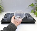 rozsadnik-horti-S8-5.JPG