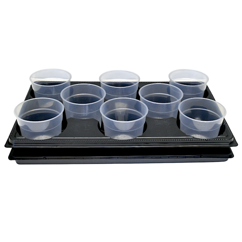 rozsadnik-horti-S8-1.png