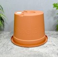 doniczka-plastica-34-5.JPG