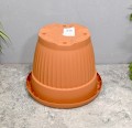 doniczka-terra-30-ok-terakota-6.JPG