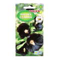 malwa-czarna-polan-1.png