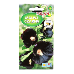 MALWA ogrodowa CZARNA dwuletnia - nasiona Polan 1g