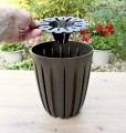 doniczka-Wario-Eco-Wood-kawa-19-6.JPG