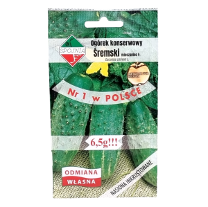 Ogórek gruntowy wczesny ŚREMSKI F1 kwaszeniak konserwowy - nasiona 6,5g