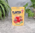 planton-P-2.jpg