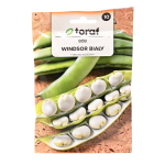 Bób Windsor Biały - późny, plenny - nasiona Toraf 50g