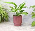 doniczka-milly-cylinder-15-marsala-02.JPG