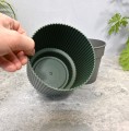 doniczka-milly-cylinder-15-zielona-Planti-14-szara-5.JPG