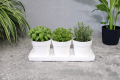 zielnik-horti-3zioła-2.png