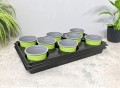 zielnik-horti-8ziół-3.JPG
