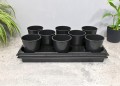 rozsadnik-horti-8-róż-2.JPG