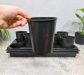 rozsadnik-horti-8-róż-4.JPG