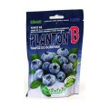 PLANTON B nawóz do borówek iglaków wrzosów 200g