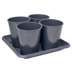 Rozsadnik HORTI 4 RÓŻE - na sadzonki krzewów ozdobnych i owocowych