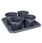 Rozsadnik HORTI 4 KWIATKI - na sadzonki pelargonii surfinii kwiatów ziół