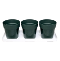 zielnik-horti-3-zioła-zielony-1.png