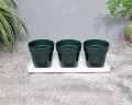 zielnik-horti-3-zioła-zielony-2.jpg