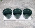 zielnik-horti-3-zioła-zielony-3.jpg
