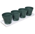 zielnik-horti-4-zioła-zielony-1.png
