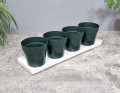 zielnik-horti-4-zioła-zielony-2.jpg