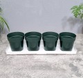 zielnik-horti-4-zioła-zielony-3.jpg
