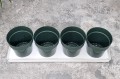 zielnik-horti-4-zioła-zielony-4.jpg