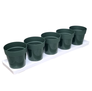 Zielnik HORTI 5 ZIÓŁ zielony - do domowej uprawy w kuchni i na parapecie