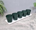 zielnik-horti-5-ziół-zielony-2.jpg