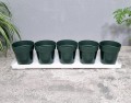 zielnik-horti-5-ziół-zielony-3.jpg