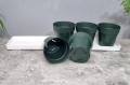 zielnik-horti-5-ziół-zielony-4.jpg