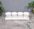 zielnik-horti-4-ziola-bialy-3.jpg