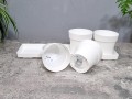 zielnik-horti-4-ziola-bialy-5.jpg