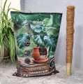 ziemia-bigos-monstera-palik-40-2.jpg