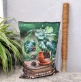 ziemia-bigos-monstera-palik-50-2.jpg
