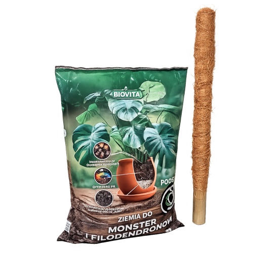 ziemia-bigos-monstera-palik-50-1.png