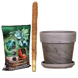 Zestaw do monstery - doniczka gliniana Bazalt 24cm, palik, ziemia bigos