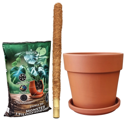 zestaw-calima-natur-24-bigos-palik60-1.png
