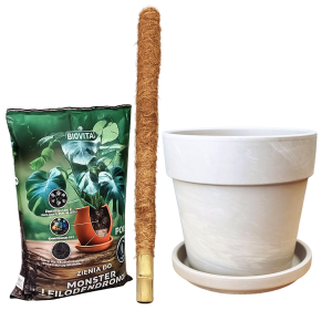 Zestaw do monstery - doniczka gliniana Granit 24cm, palik, ziemia bigos