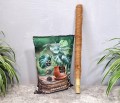 ziemia-bigos-monstera-palik-60-2.jpg