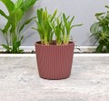 doniczka-milly-prosta-11-marsala-02.JPG